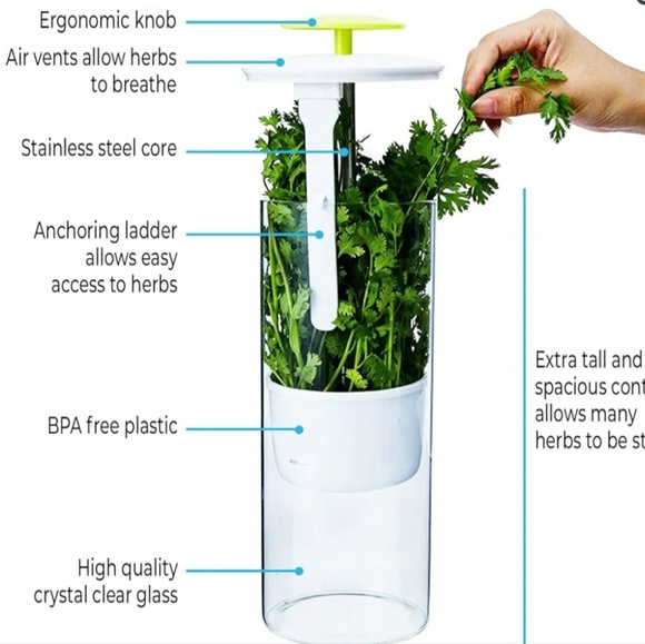 Cleae Borosilicate Glass Herb Keeper and Herb Storage‎ Container 12.2x4.7in - Picture 9 of 14